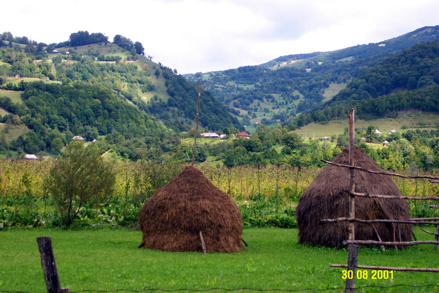 2001-08-30 12-50-11.JPG - RO Fahrt von Baia Mare ueber Sighetu-Marmatiei und Viseu de Sus und Vatra Dornei nach Bistrita